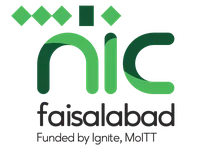 nic fsd